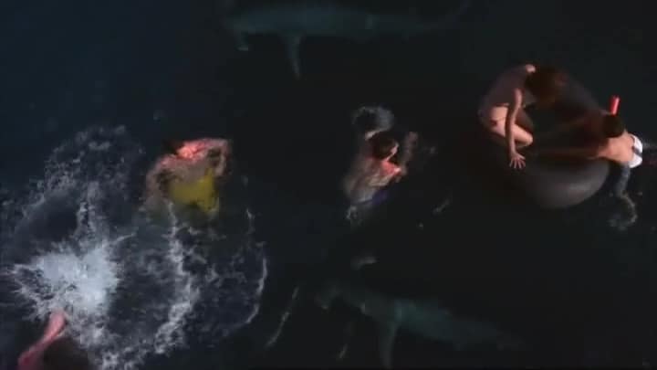 Shark Swarm (2008) Shark Swarm (2008)